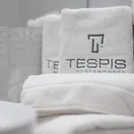 Tespis - Francuska Atal Park Ii * Katowice