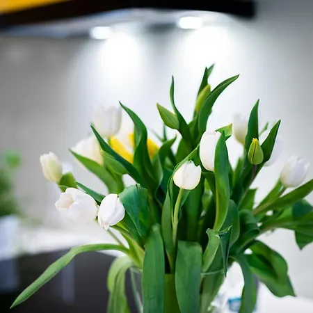 Tespis - Francuska Atal Park Ii