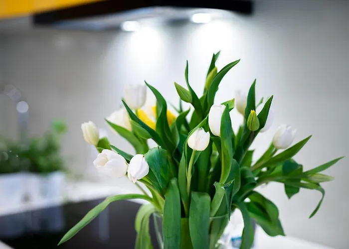 Tespis - Francuska Atal Park Ii